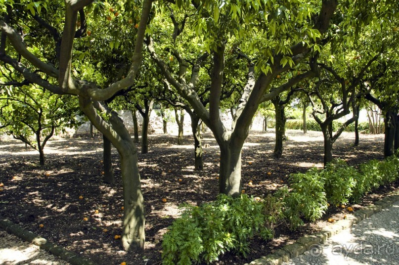 Побережье Одиссея.