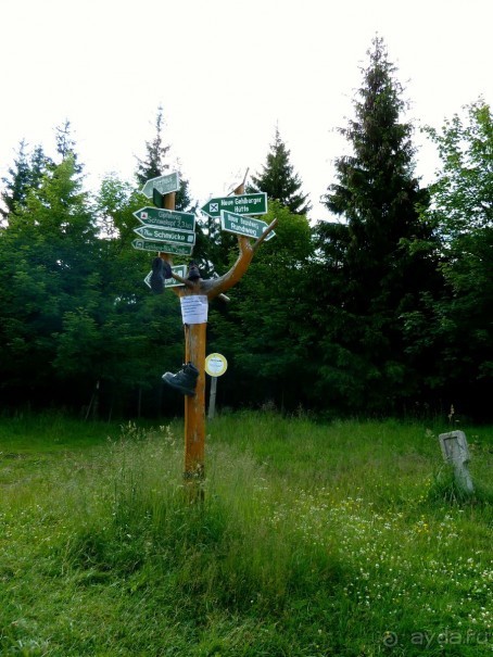 Из записной книжки - Тюрингия. Удивительный рецепт