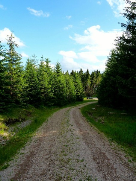 Из записной книжки - Тюрингия. Удивительный рецепт