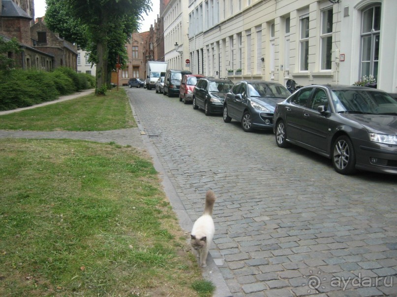 Отель на воде