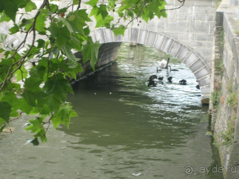 Отель на воде