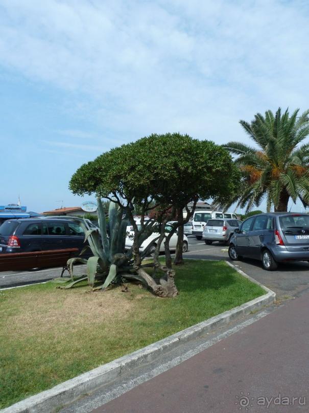 По каналам Венеции