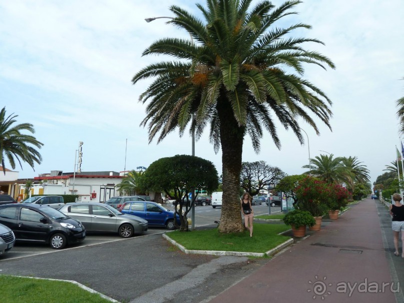 По каналам Венеции