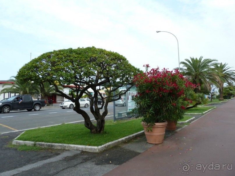 По каналам Венеции