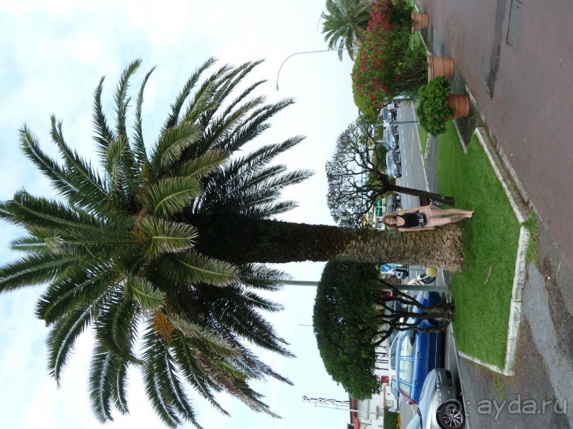 По каналам Венеции