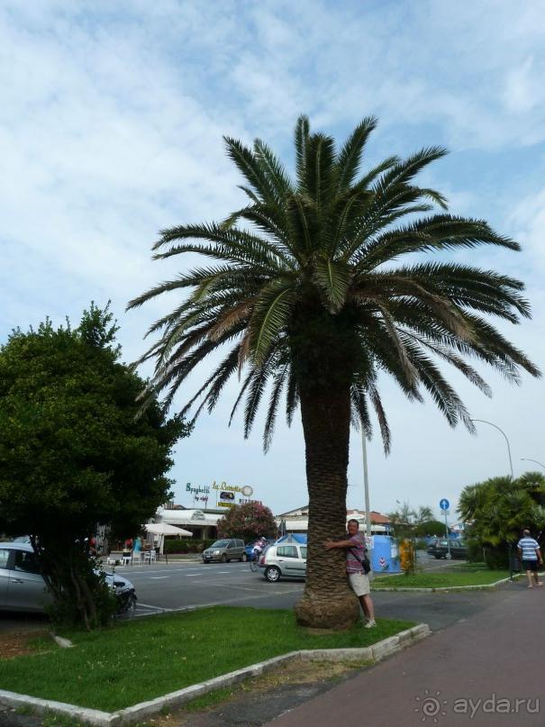 По каналам Венеции