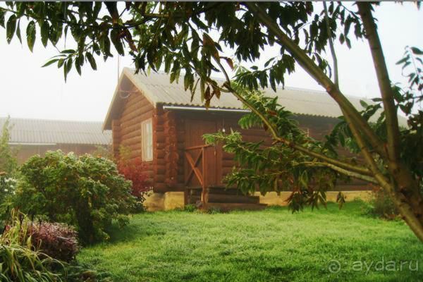 фото Ботово