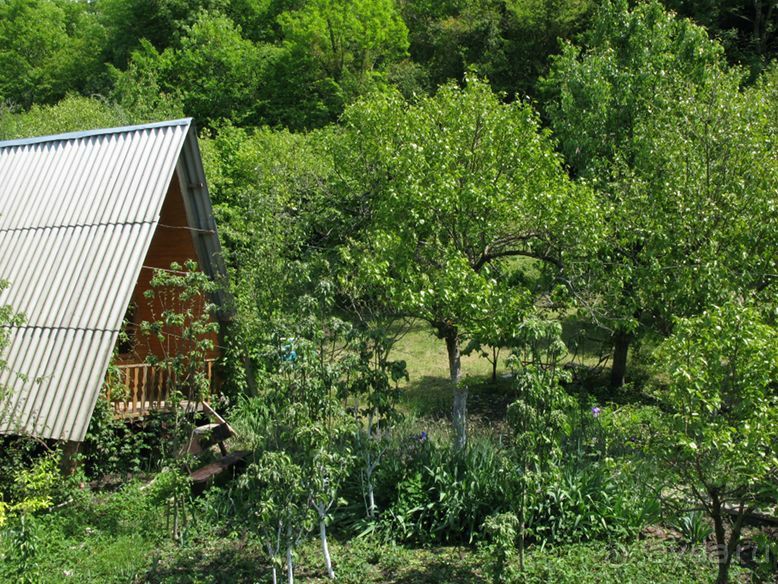 фото Катюша