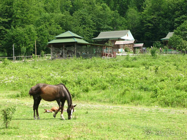 фото Катюша