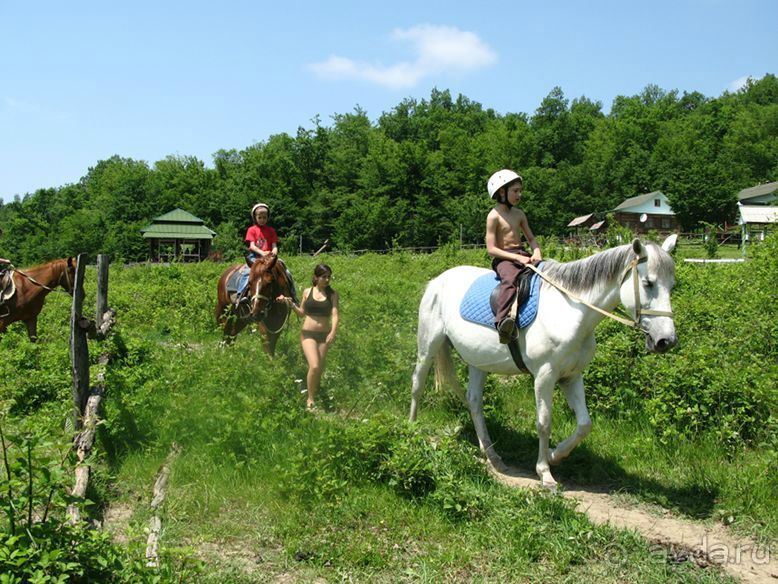 фото Катюша