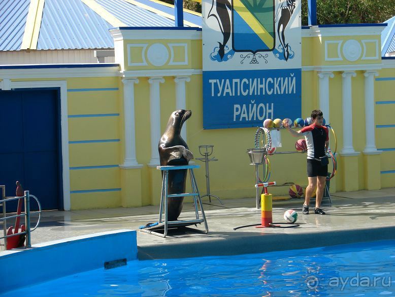 фото Катюша