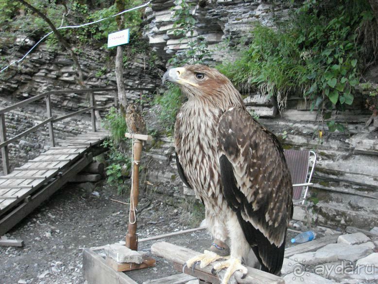 фото Катюша