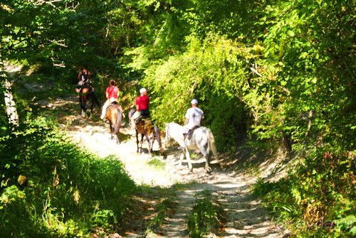 фото Катюша