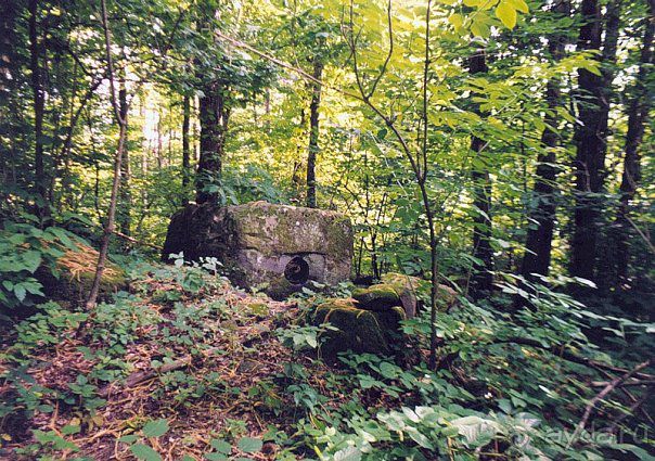 фото Катюша