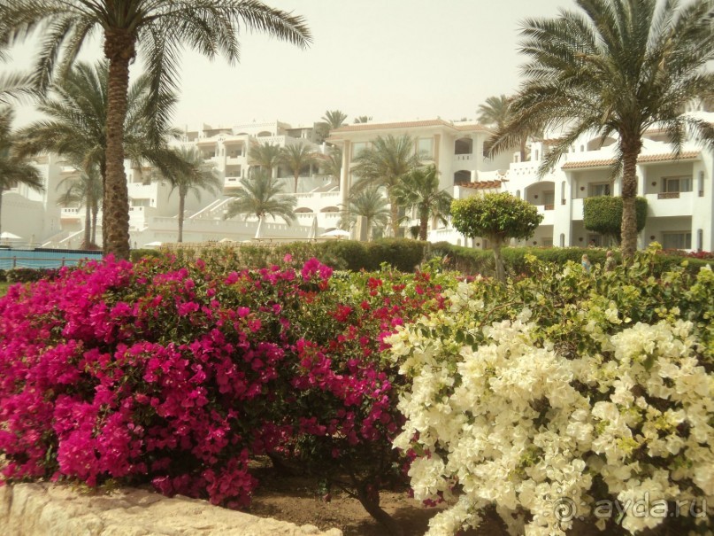 фото Coral Sea Holiday Resort & Aqua Park