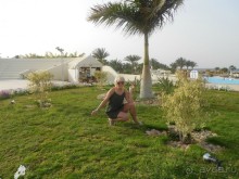 Египет. Хургада. Coral Beach Rotana Resort