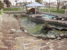 Египет. Хургада. Coral Beach Rotana Resort