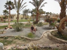 Египет. Хургада. Coral Beach Rotana Resort