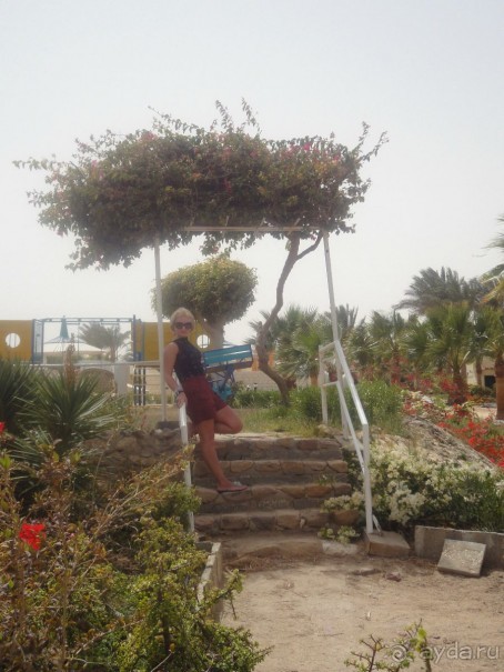 фото Coral Beach Hurghada Hotel