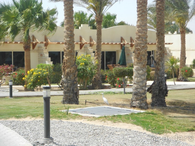 фото Coral Beach Hurghada Hotel