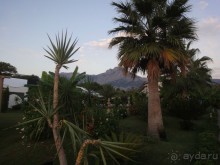 фото FashionTV Luxe Resort