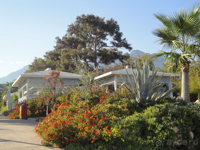 фото FashionTV Luxe Resort