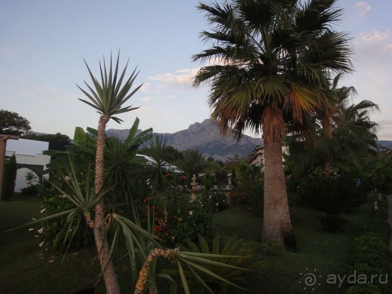 Турция. Кемер. Vogue Hotel Avantgarde.