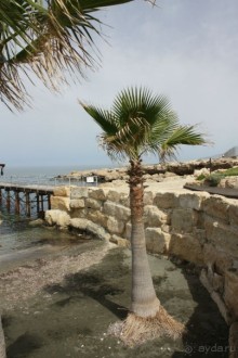 фото Hoi An Riverside