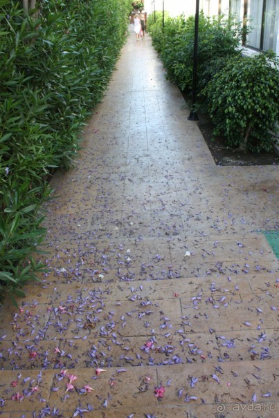 фото Hoi An Riverside