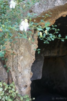 фото Hoi An Riverside
