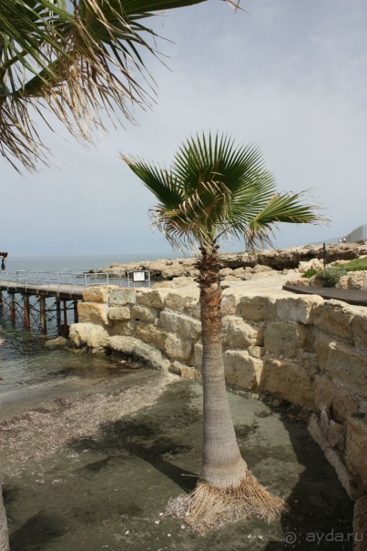 Пляж за отелем "Элизиум".