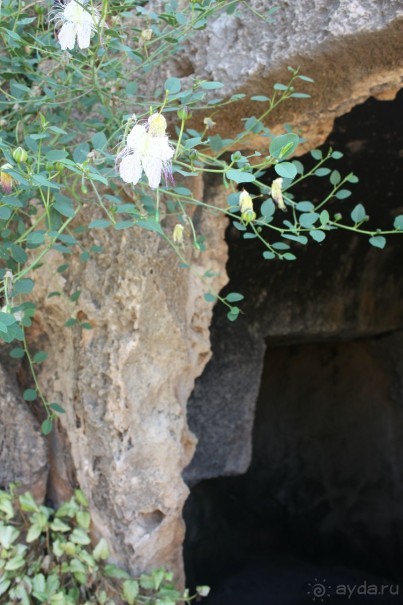 Гробницы Царей.