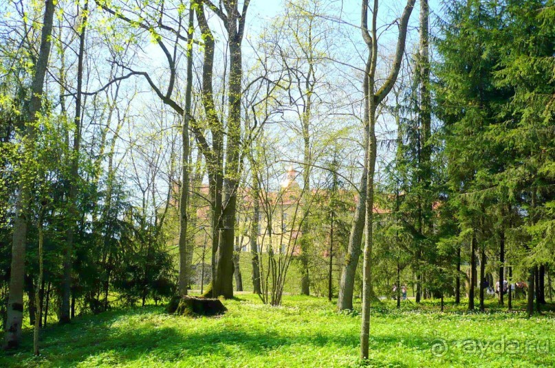 В Минске весна