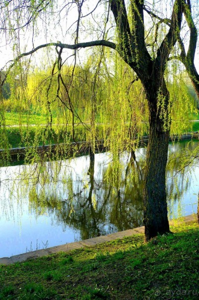 В Минске весна