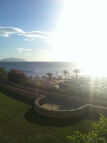 Очень яркие впечатления!