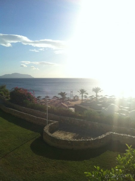 Очень яркие впечатления!