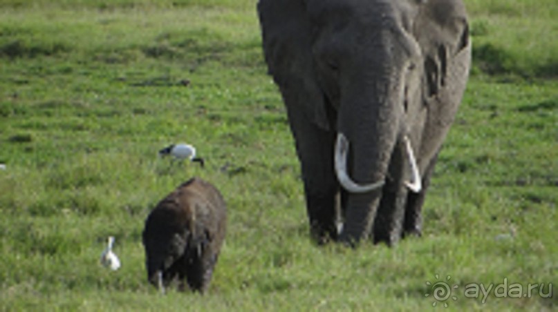 Наш трип по Африке 