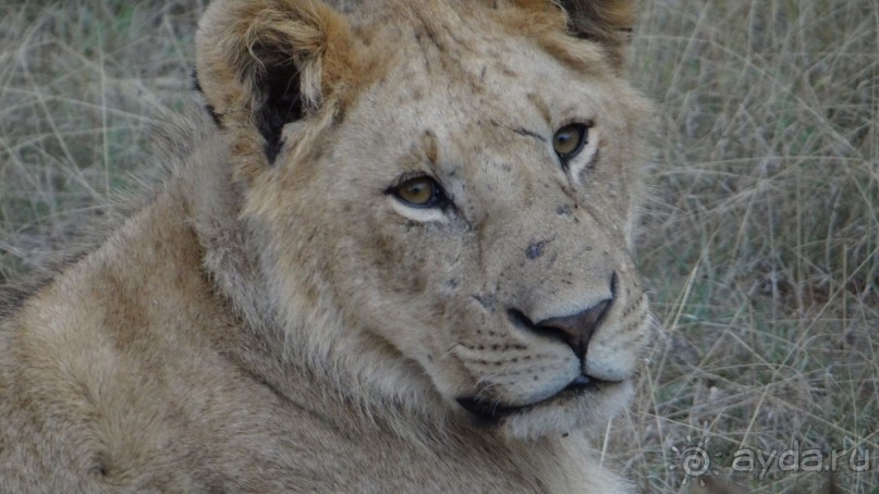 Наш трип по Африке 