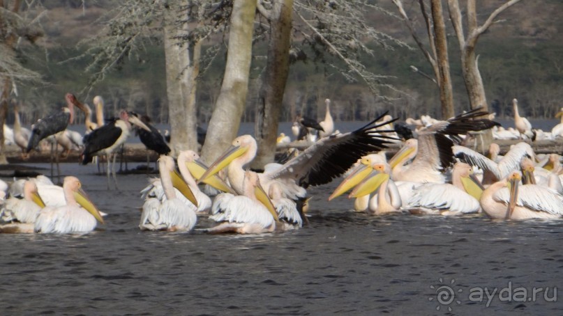 Наш трип по Африке 