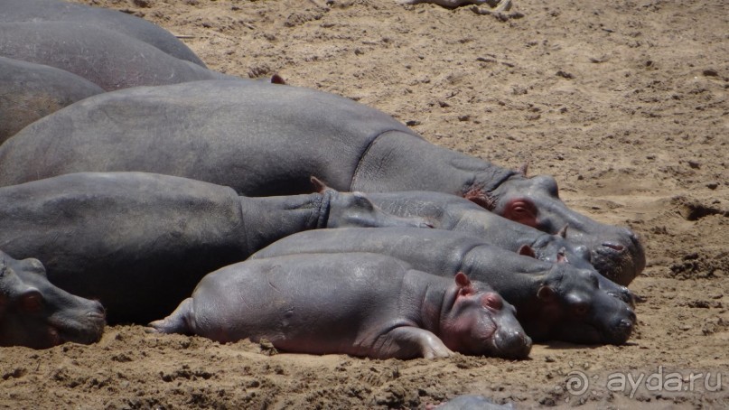 Наш трип по Африке 