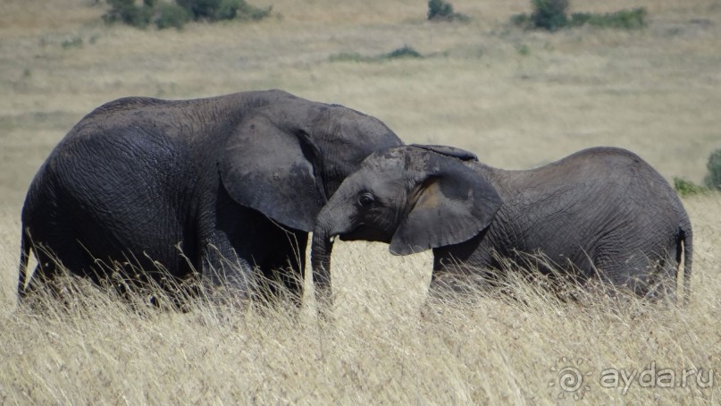 Наш трип по Африке 