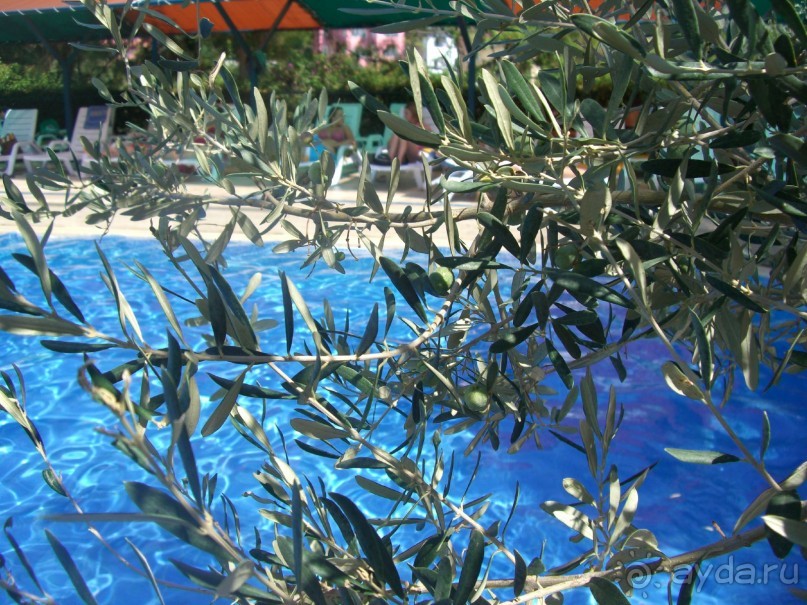 Очень понравилось!