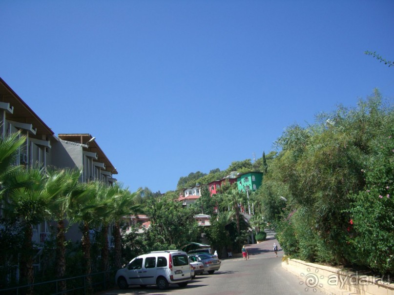 Очень понравилось!