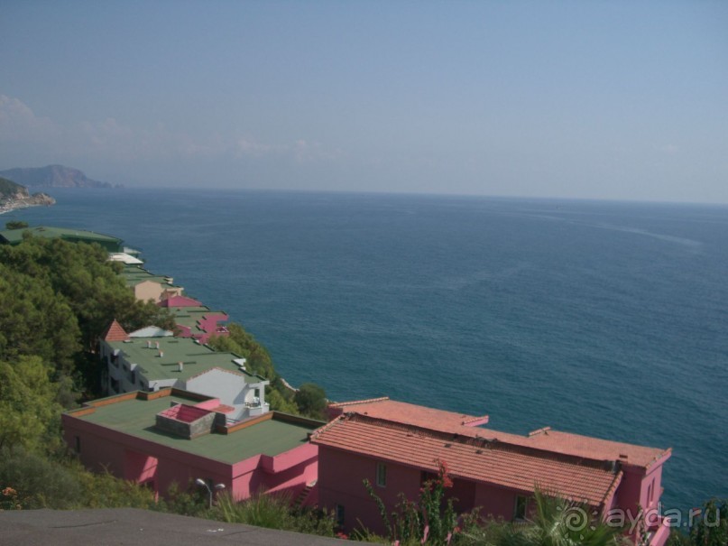 Очень понравилось!