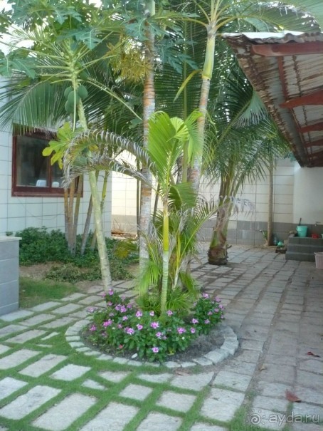 фото Sofitel Thalassa Marina Smir