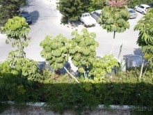 фото Louis Imperial Beach