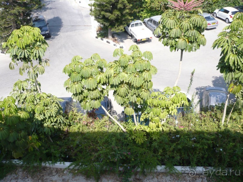 Пафосный Кипр