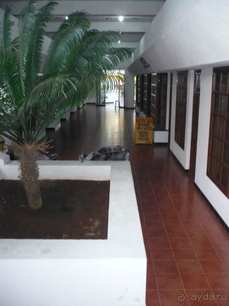 Войти в Гоа дважды