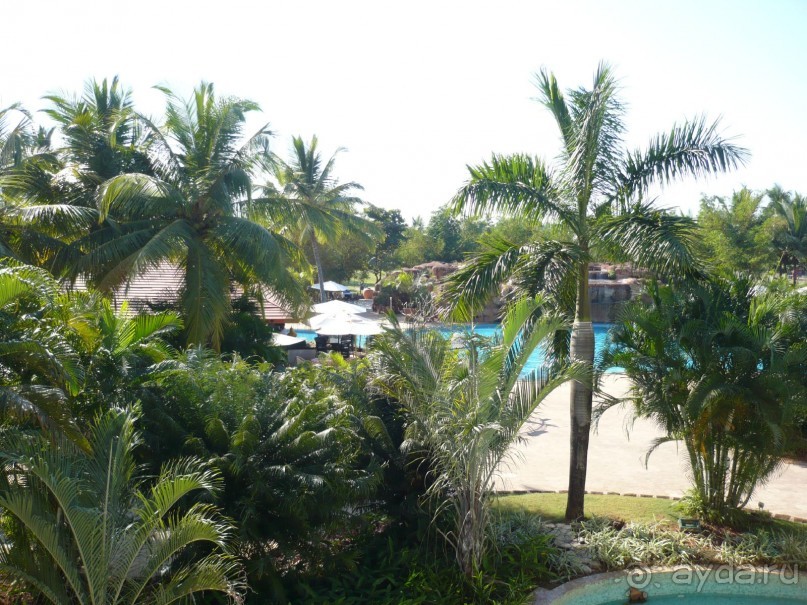 Первое путешествие в Индию