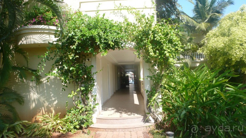 Первое путешествие в Индию